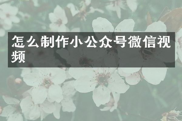 怎么制作小公众号微信视频