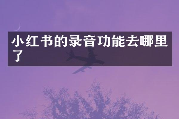 小红书的录音功能去哪里了