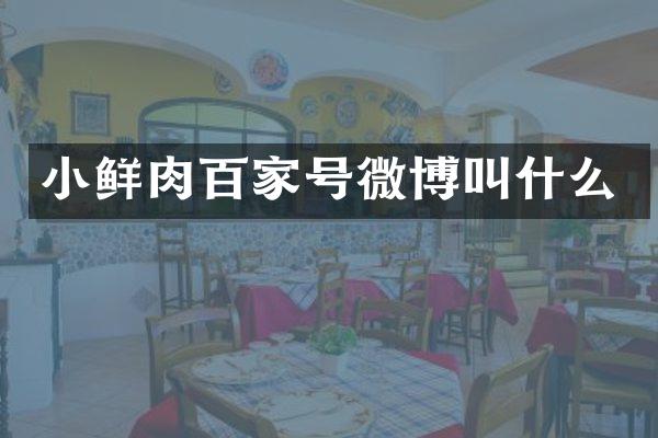 小鲜肉百家号微博叫什么