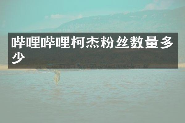 哔哩哔哩柯杰粉丝数量多少