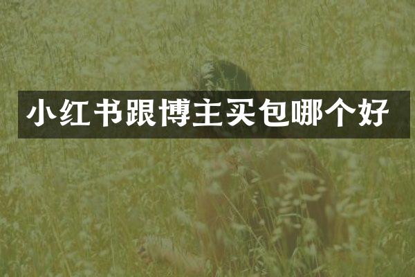 小红书跟博主买包哪个好