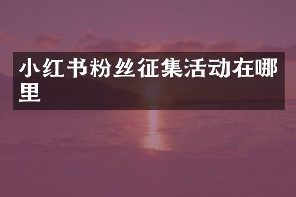 小红书粉丝征集活动在哪里
