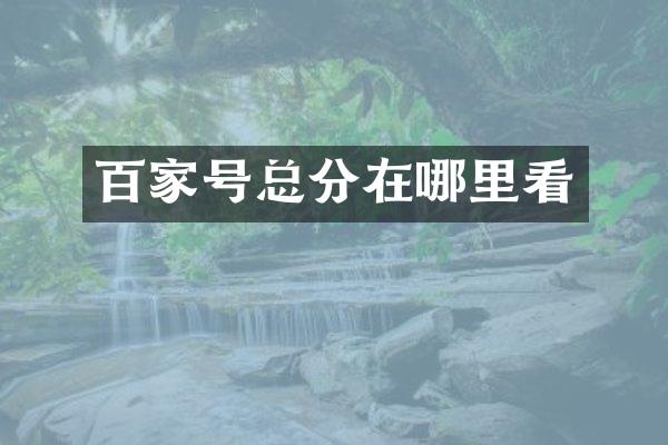 百家号总分在哪里看