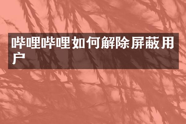 哔哩哔哩如何解除屏蔽用户