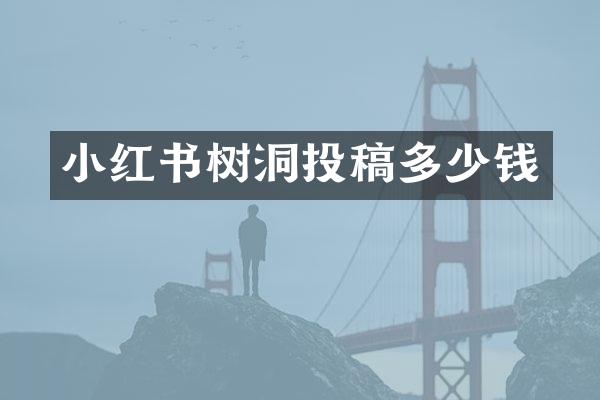 小红书树洞投稿多少钱