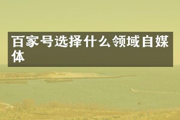 百家号选择什么领域自媒体