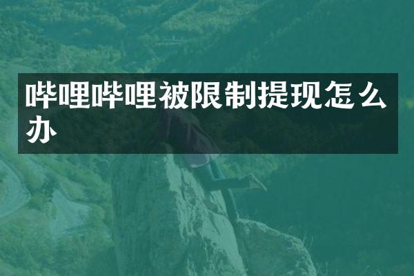 哔哩哔哩被限制提现怎么办