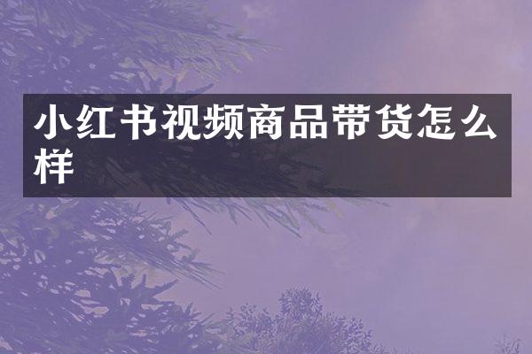 小红书视频商品带货怎么样