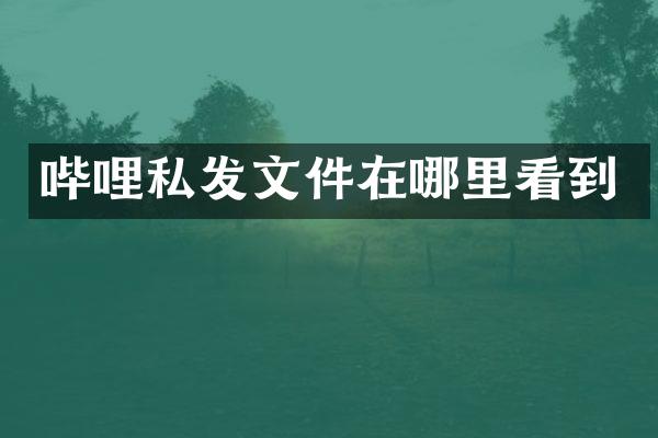 哔哩私发文件在哪里看到