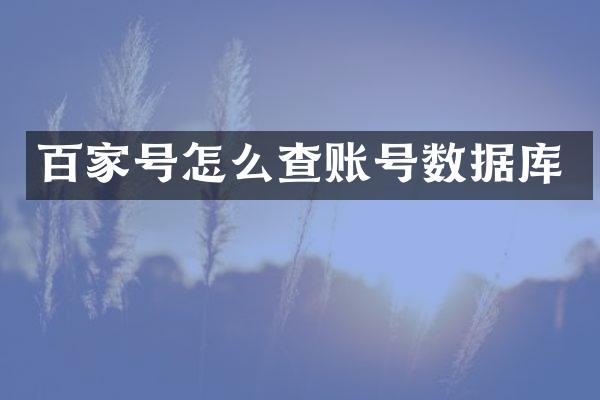 百家号怎么查账号数据库