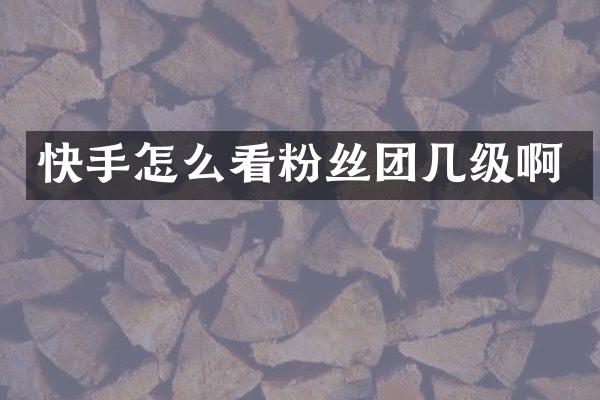 快手怎么看粉丝团几级啊