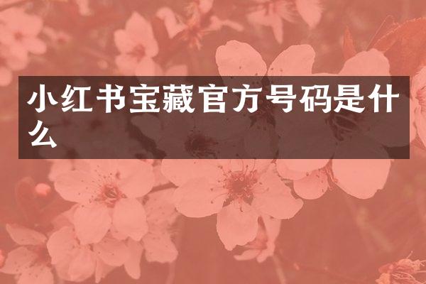 小红书宝藏官方号码是什么