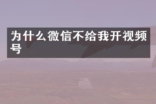 为什么微信不给我开视频号