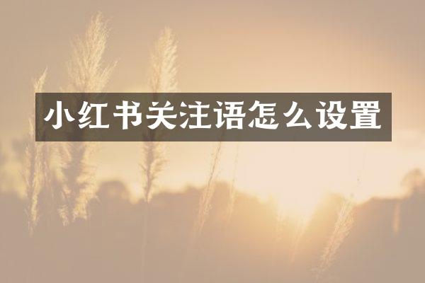 小红书关注语怎么设置