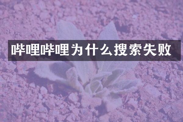 哔哩哔哩为什么搜索失败