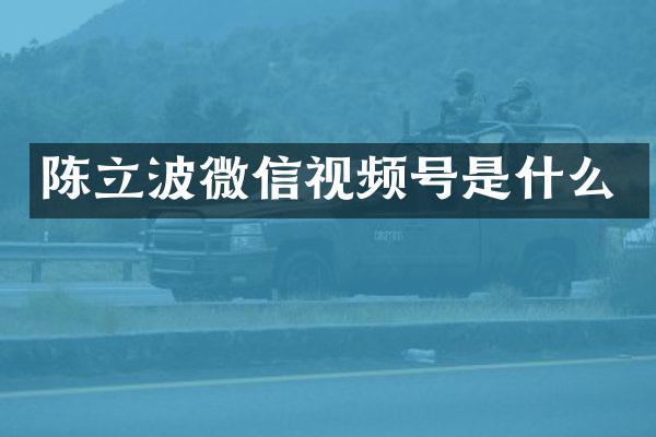 陈立波微信视频号是什么