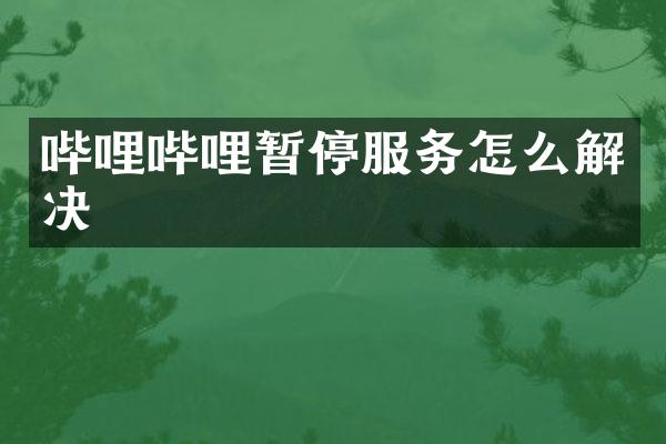 哔哩哔哩暂停服务怎么解决
