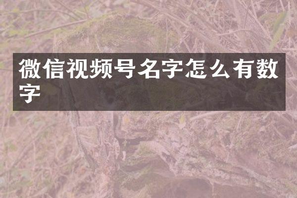 微信视频号名字怎么有数字