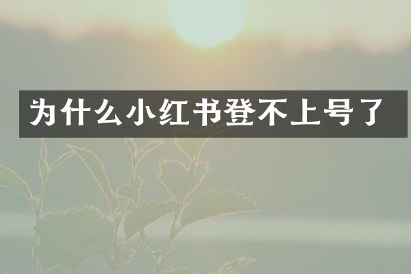 为什么小红书登不上号了