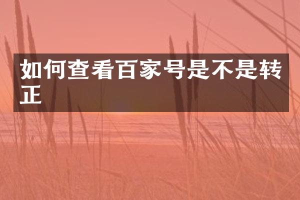 如何查看百家号是不是转正