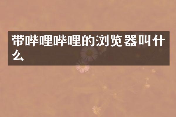带哔哩哔哩的浏览器叫什么
