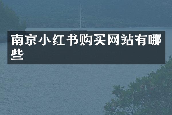 南京小红书购买网站有哪些