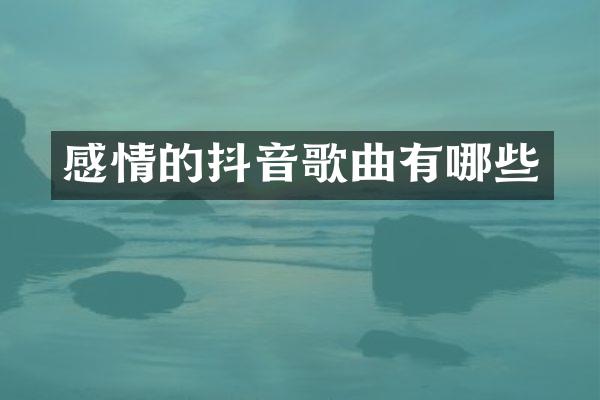 感情的抖音歌曲有哪些