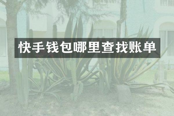 快手钱包哪里查找账单