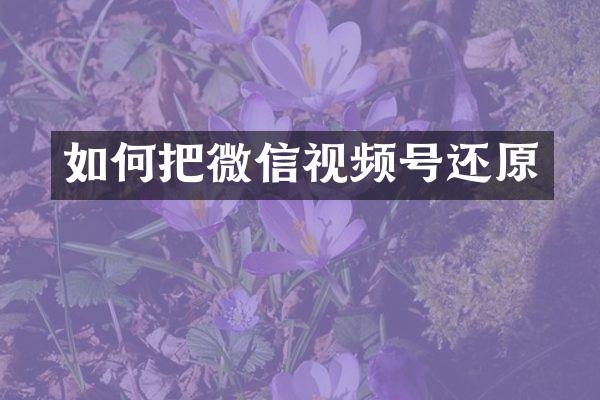 如何把微信视频号还原