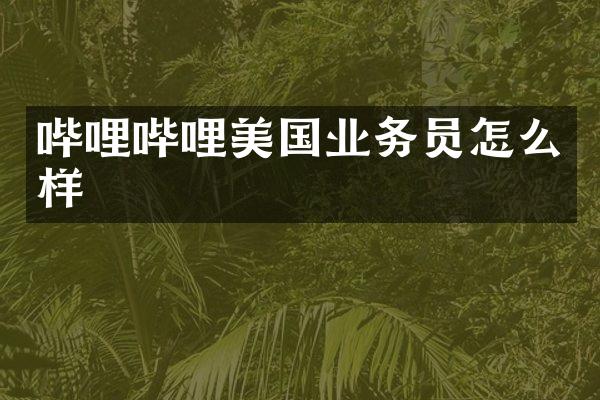 哔哩哔哩美国业务员怎么样