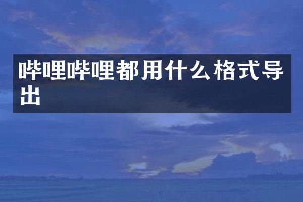 哔哩哔哩都用什么格式导出