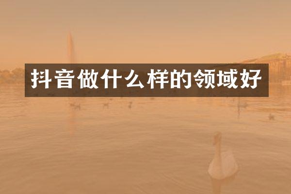 抖音做什么样的领域好