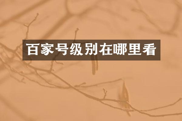 百家号级别在哪里看