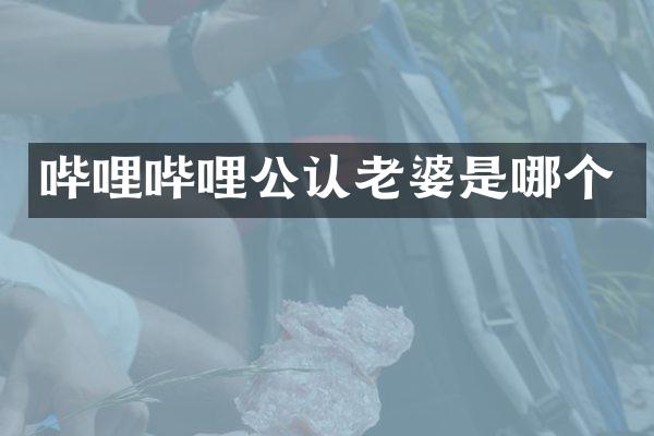 哔哩哔哩公认老婆是哪个