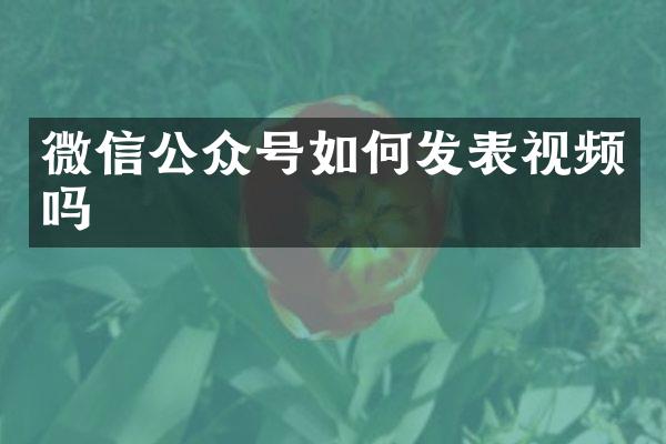 微信公众号如何发表视频吗