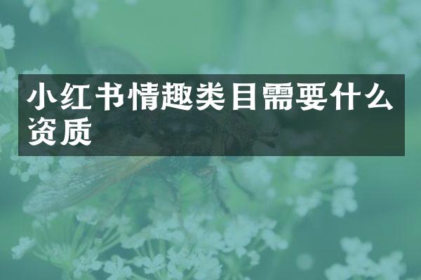小红书情趣类目需要什么资质