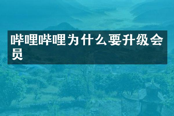 哔哩哔哩为什么要升级会员