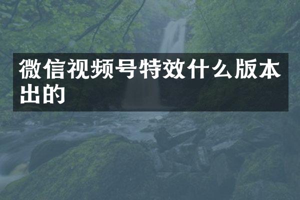 微信视频号特效什么版本出的