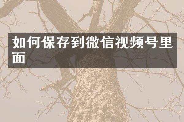 如何保存到微信视频号里面