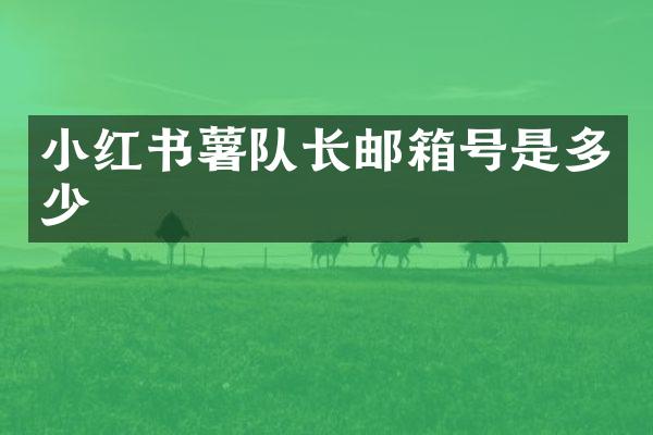 小红书薯队长邮箱号是多少