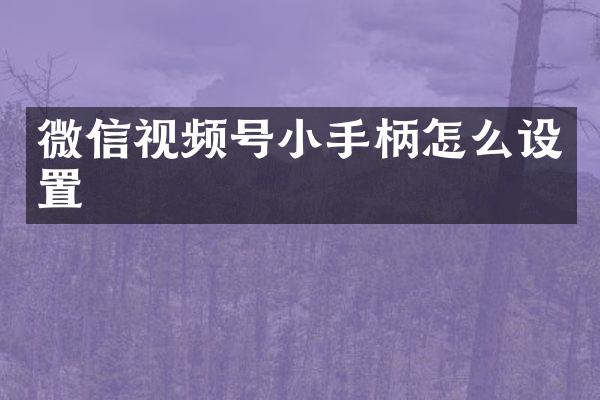 微信视频号小手柄怎么设置