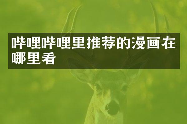 哔哩哔哩里推荐的漫画在哪里看