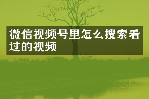 微信视频号里怎么搜索看过的视频