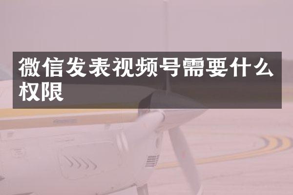 微信发表视频号需要什么权限