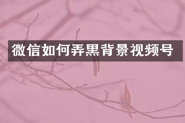 微信如何弄黑背景视频号
