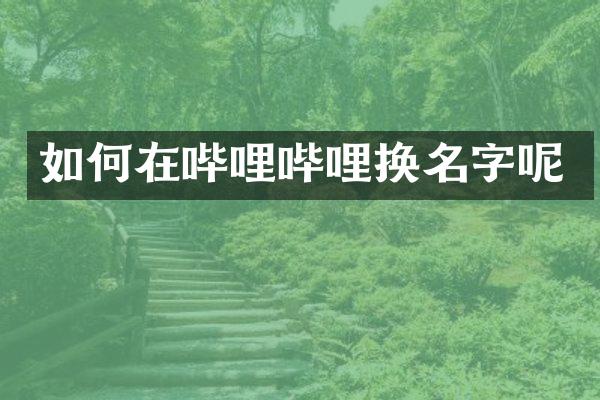 如何在哔哩哔哩换名字呢