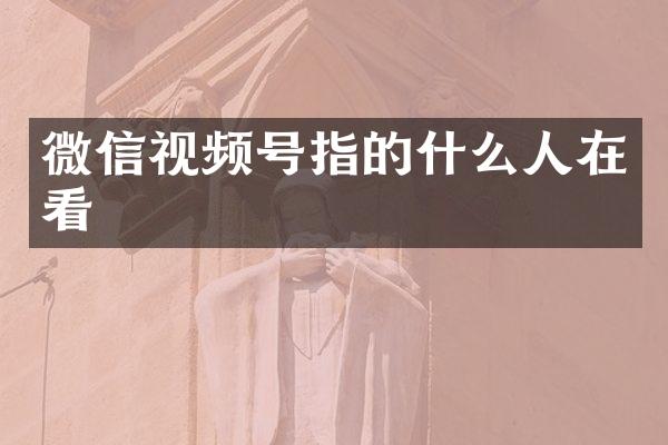 微信视频号指的什么人在看