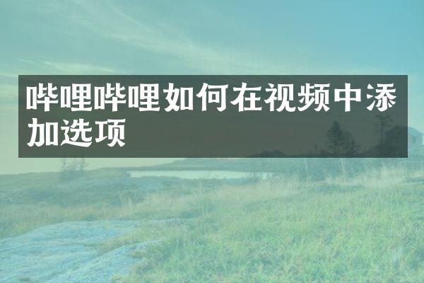哔哩哔哩如何在视频中添加选项