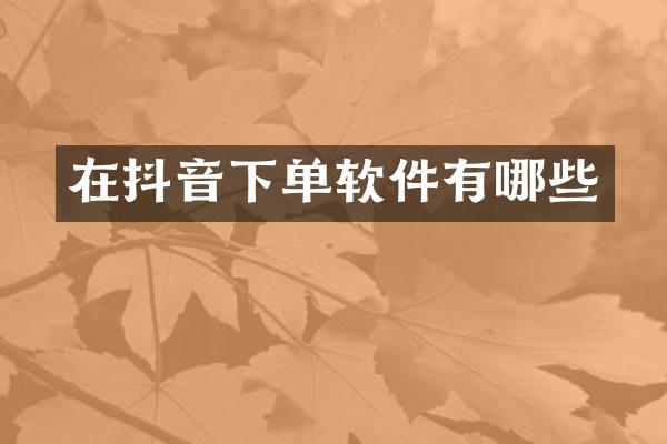 在抖音下单软件有哪些