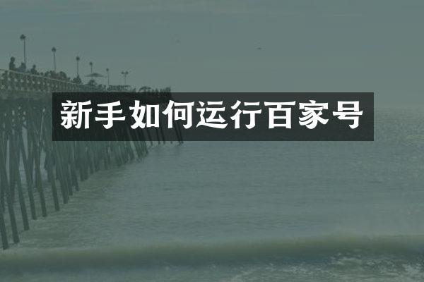 新手如何运行百家号